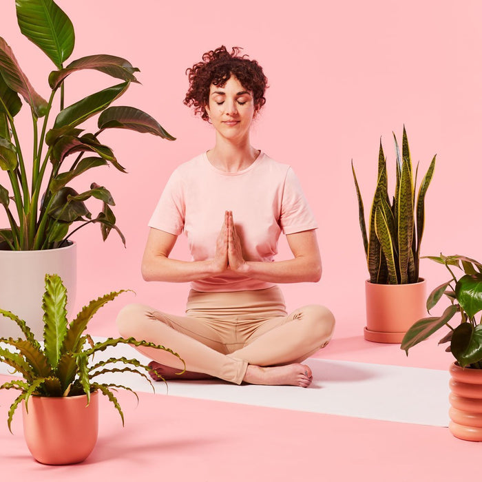 Your Ultimate Guide To Creating Meditation And Yoga Room With Plants