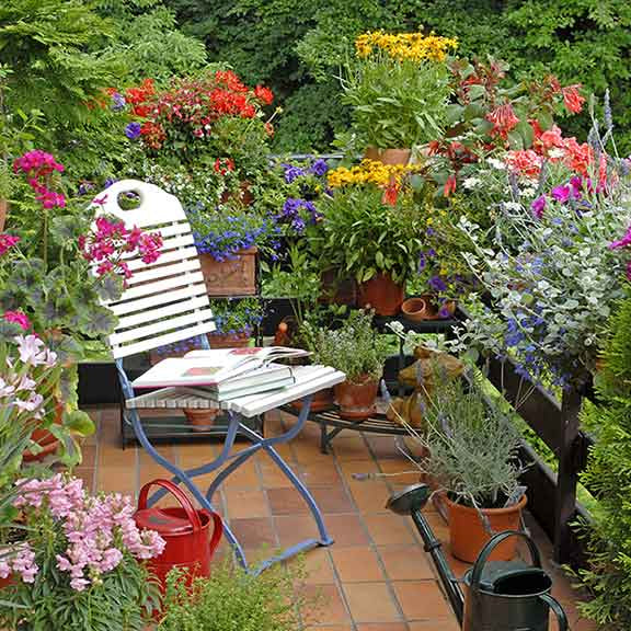 6 Pocket-friendly ideas to jazz up your balcony garden