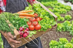 Benefits of eating fresh homegrown vegetables