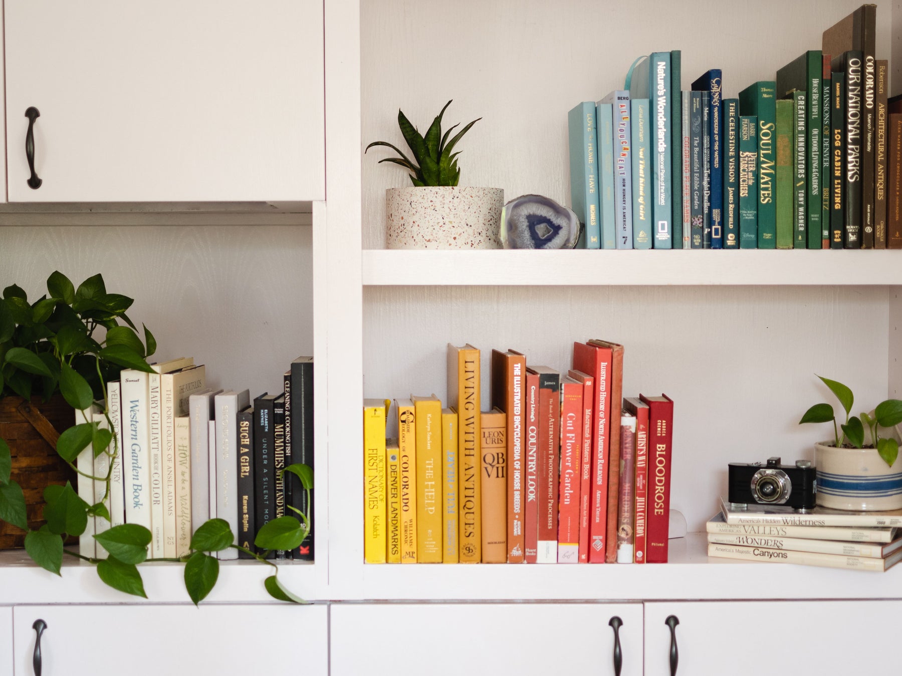 6 Ways to Create the Perfect Plant-Filled Reading Nook