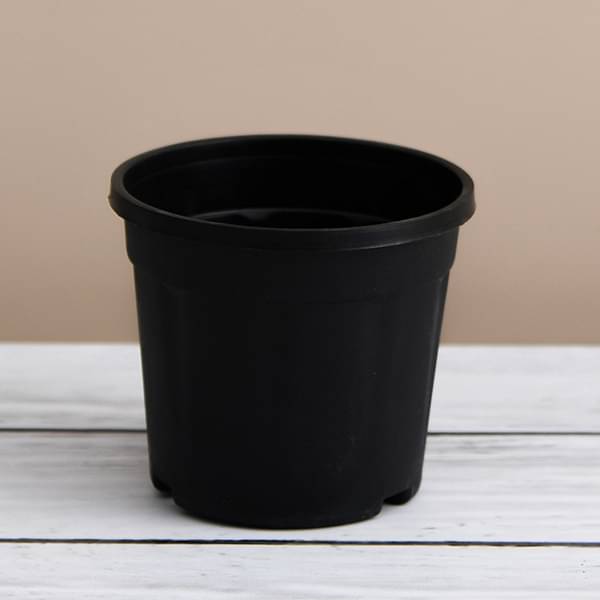 Above 20 inch (51 cm) Planters