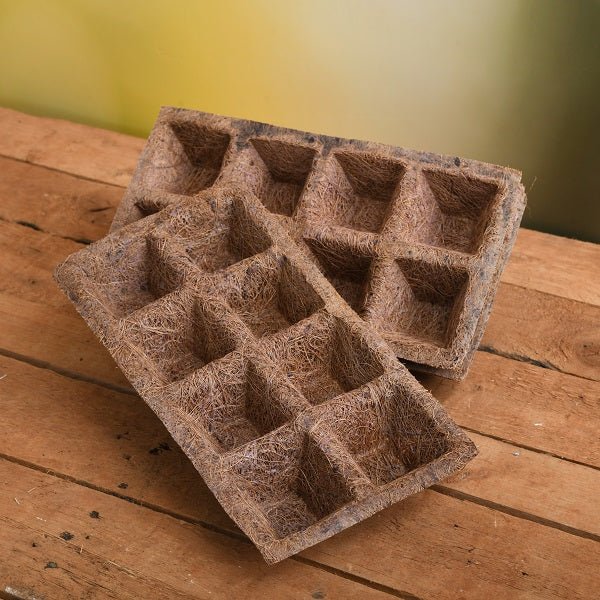 Buy Germination Trays Online From Nurserylive At Lowest Price.