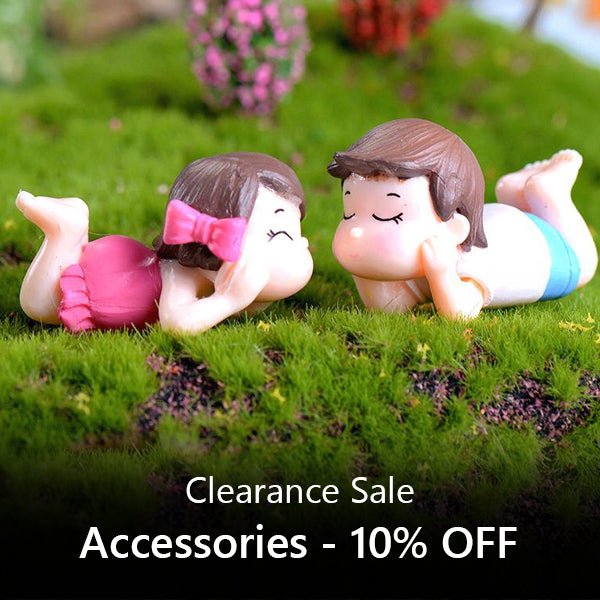 Accessories - Clearance Sale