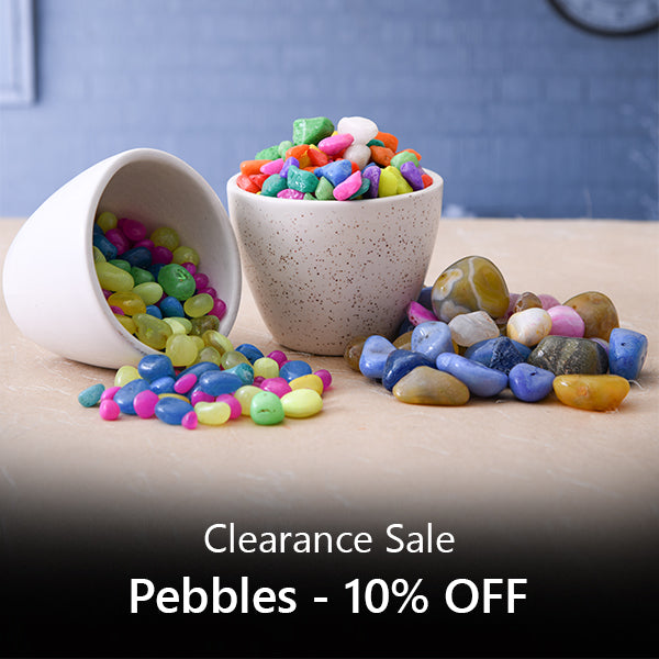 Pebbles - Clearance Sale