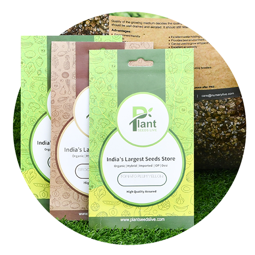 Month Wise Gardening - Nurserylive