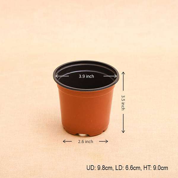 4 inch (10 cm) Round Plastic Thermoform Pot