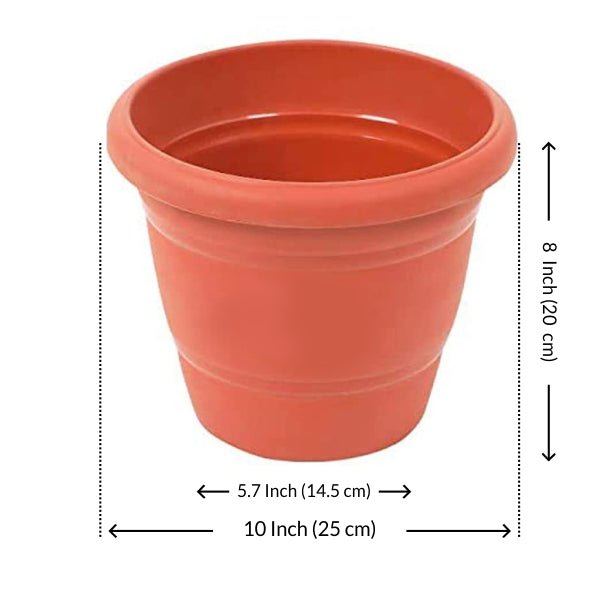 10 inch (25 cm) Round Garden Pot