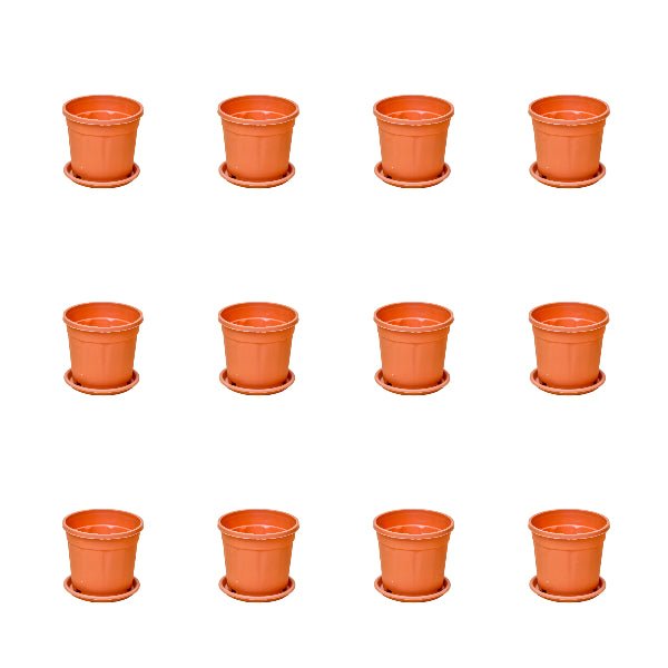 3 inch (8 cm) Grower Round Plastic Pot (Set of 12)(Terracota)(With Plate)
