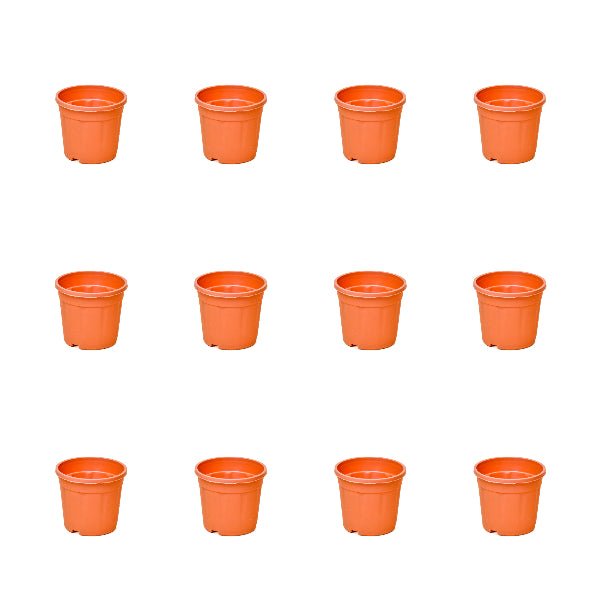 3 inch (8 cm) Grower Round Plastic Pot (Set of 12)(Terracota)(Without Plate)