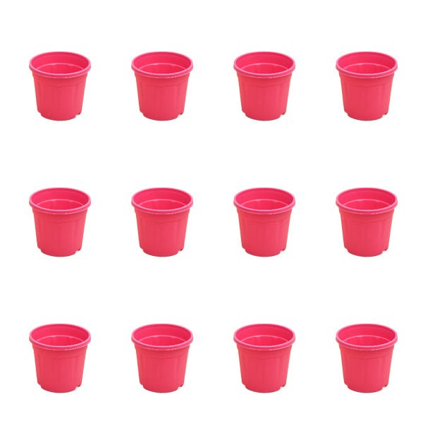 4 inch (10 cm) Grower Round Plastic Pot (Set of 12)(Dark Pink)(Without Plate)
