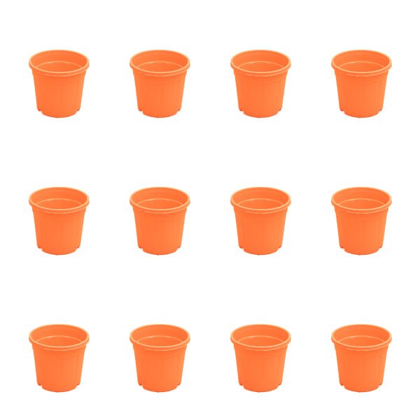 4 inch (10 cm) Grower Round Plastic Pot (Set of 12)(Orange)(Without Plate)