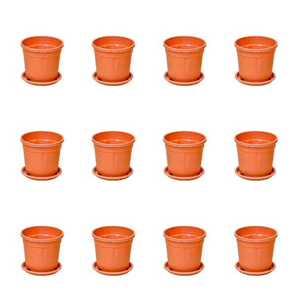 4 inch (10 cm) Grower Round Plastic Pot (Set of 12)(Terracota)(With Plate)