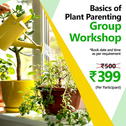 basics of plant parenting - group workshop (set of 15)