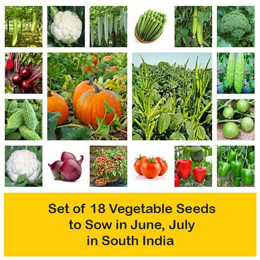 set of 18 vegetable seeds to sow in june 