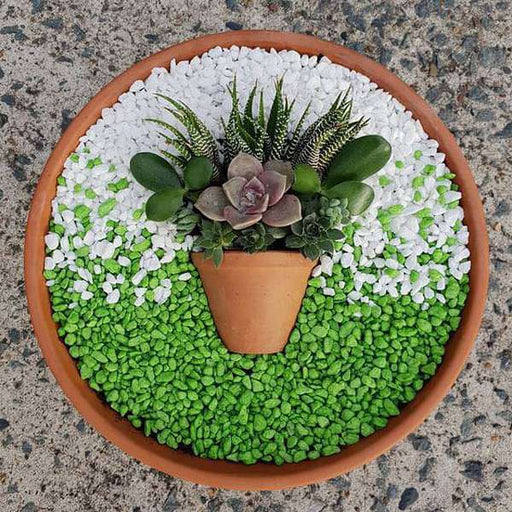 beautify succulent art with pebbles