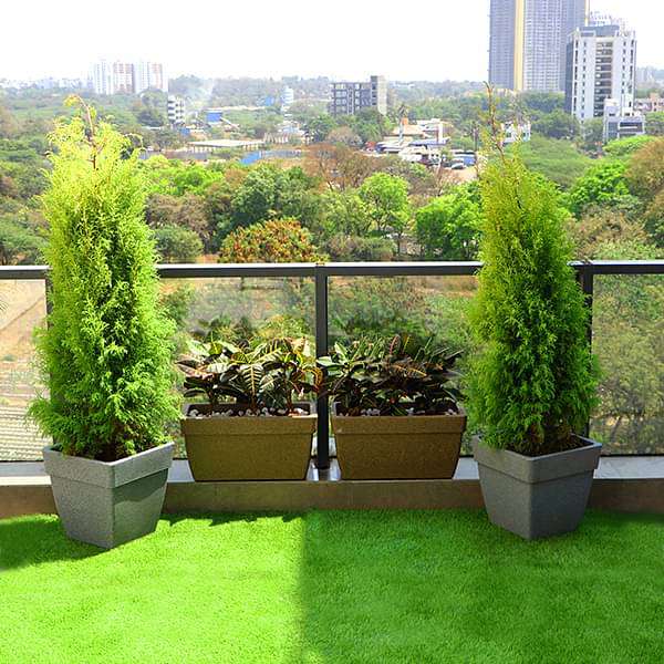 beautify garden at terrace with popular foliage plants 
