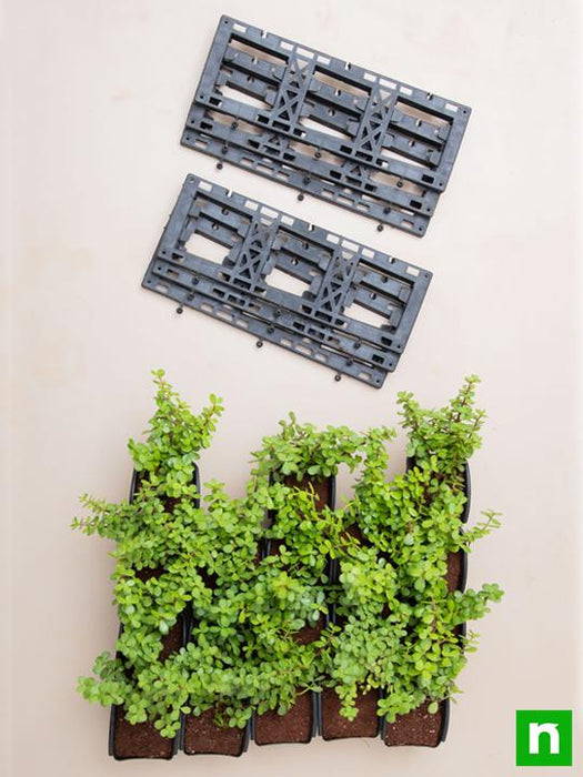 create outdoor good luck wall to bring prosperity 
