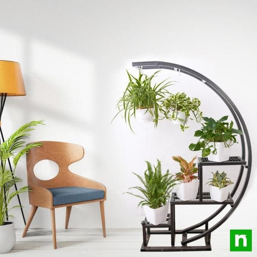decorate indirect light receiving space with foliage plants on metal arc stand 
