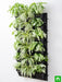decorate indoor space with green vertical garden at home 