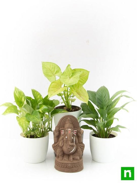 eco friendly clay ganesha with air purifier plants 
