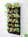 enchanting syngonium vertical garden to decorate indoor space 