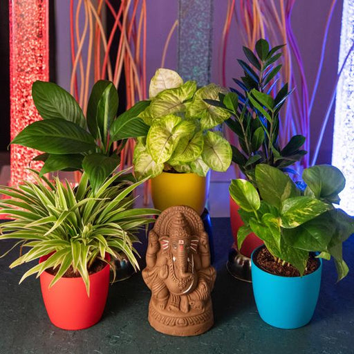 eco - friendly ganesha with oxygen enriching indoor garden