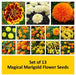 set of 13 magical marigold flower seeds 