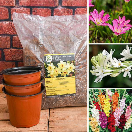 best flowering bulbs - garden pack