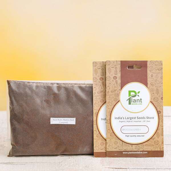 Buy Flowering seed ball kit (Make 50 seed balls) online from