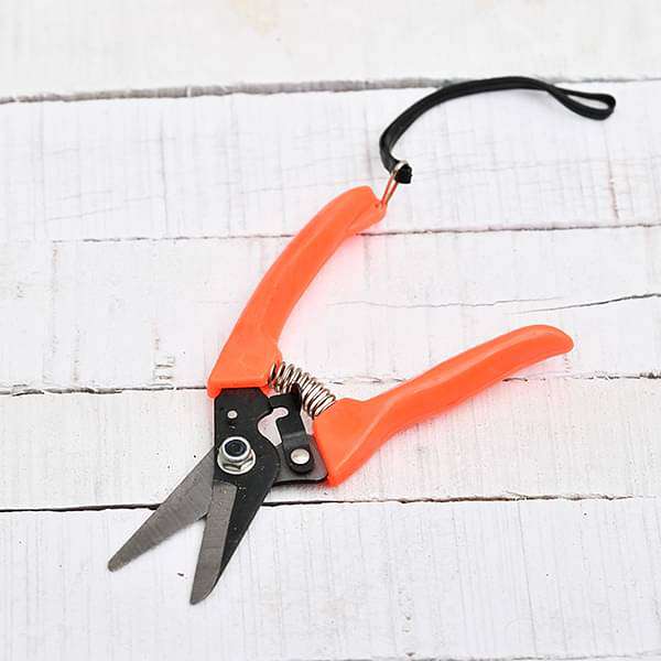 Pruning shears store price