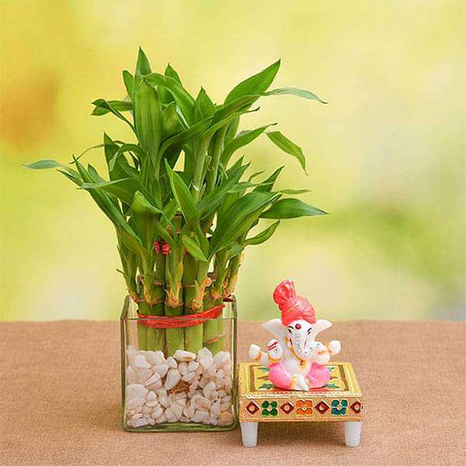 2 layer lucky bamboo in glass vase with lord ganesha idol 