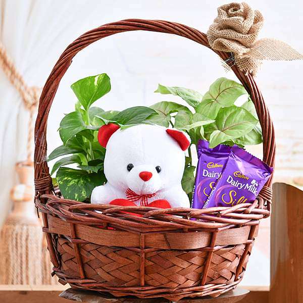 Buy Baskets online at best prices ·