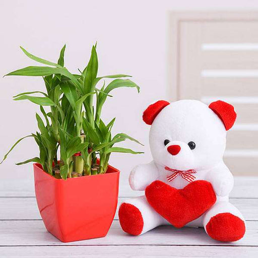 surprise your loved one with 2 layer lucky bamboo and teddy 