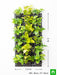 gorgeous living wall to beautify indoor space around you 