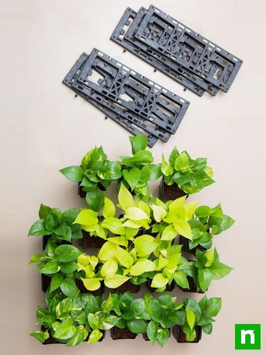 gorgeous living wall to beautify indoor space around you 
