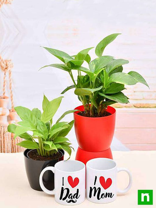 greet your mom dad with green garden and mugs 