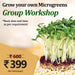 grow your own microgreens - group workshop (set of 15)