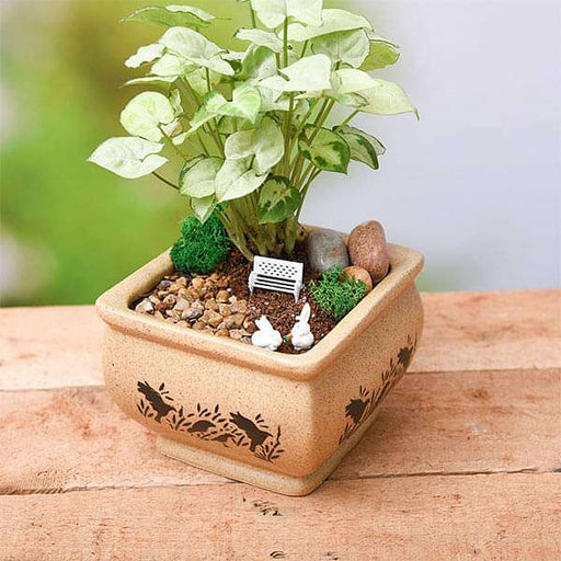 diy bundle of joy with - miniature garden