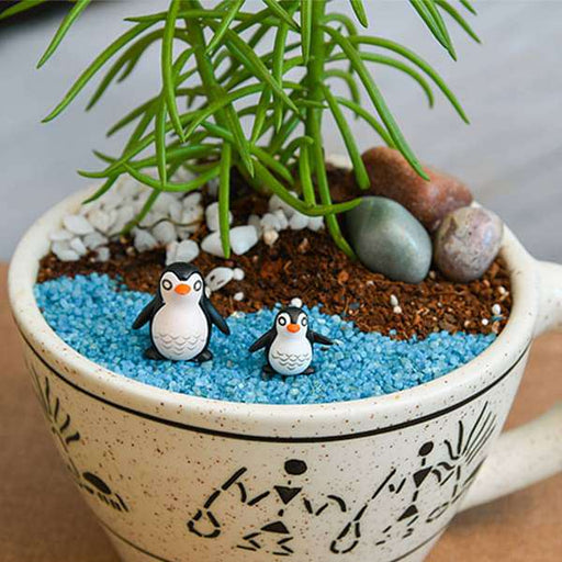 diy happy feet with senecio - miniature garden