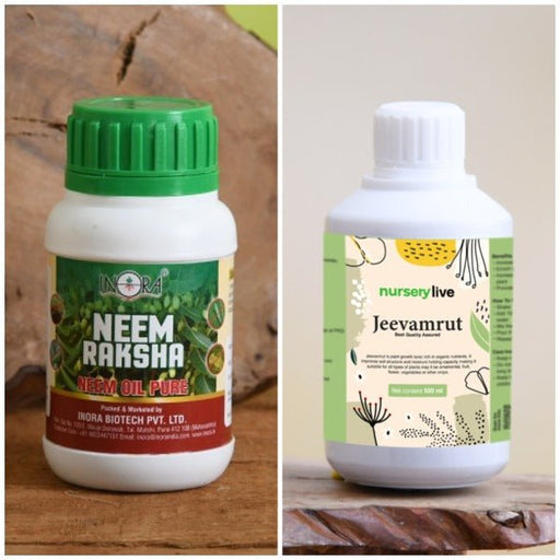 combo of jeevamrut and neem raksha for easy growth and protection of houseplants 