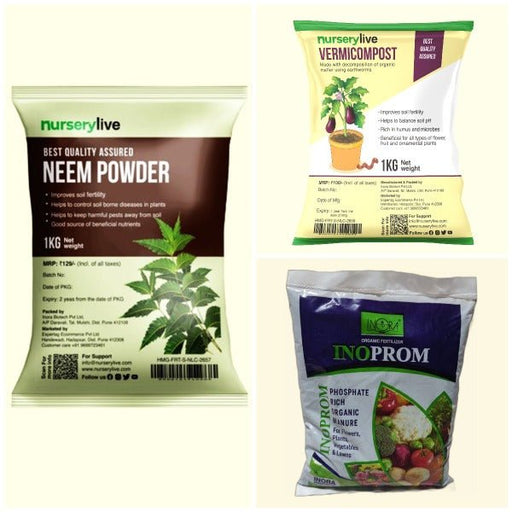 top 3 plant fertilizers (vermicompost