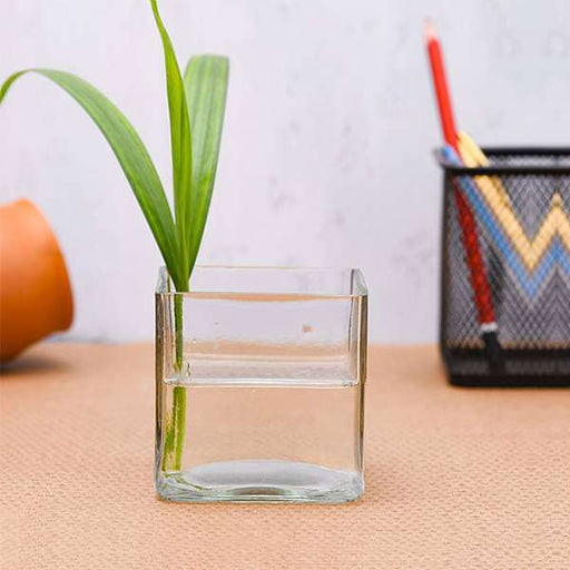 2.5 inch (6 cm) square glass vase 