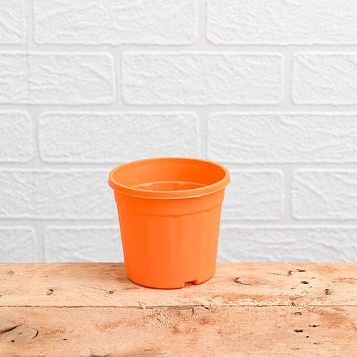 6 inch (15 cm) grower round plastic pot (orange) (set of 6) 