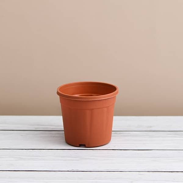 6 inch (15 cm) grower round plastic pot (terracotta color) (set of 6) 