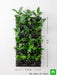 purify air around you with indoor vertical garden 