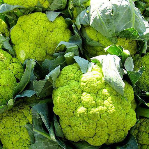 cauliflower green verde - vegetable seeds