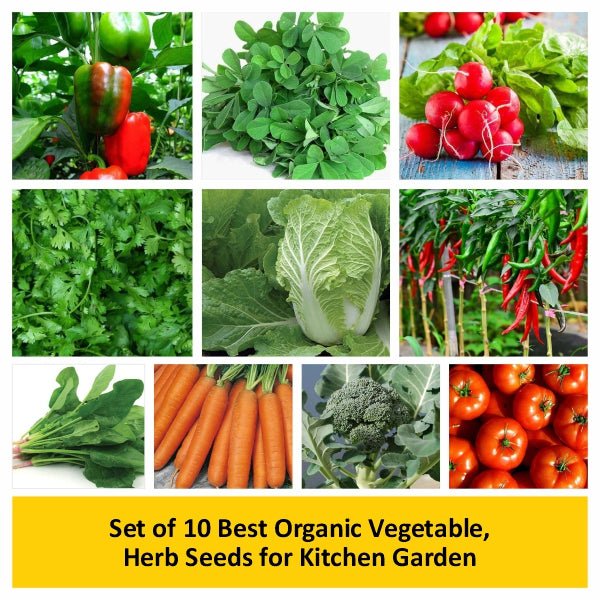 set of 10 best organic vegetable 