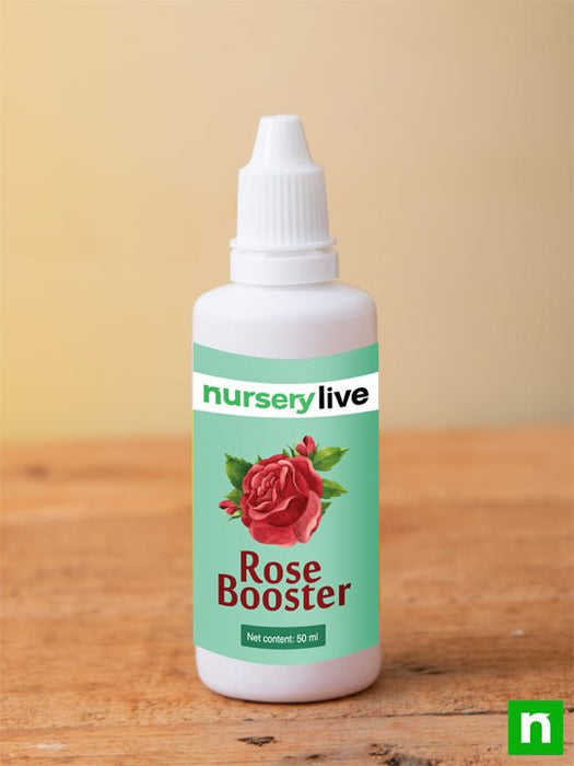 rose booster - 50 ml (set of 2)