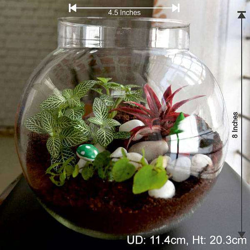 colorful round terrarium (8in ht) 