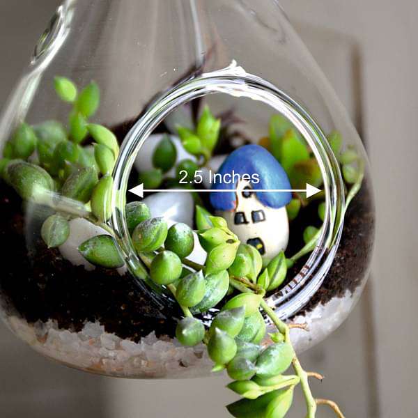 hanging orb pear terrarium (10in ht) 